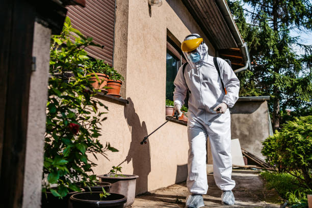 Best Insect Control  in Paradise, NV