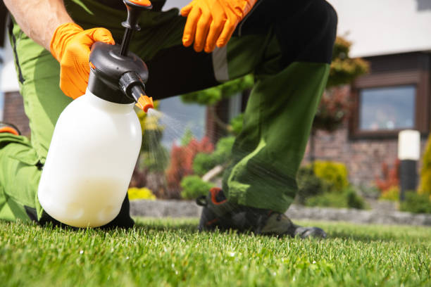 Best Pest Removal Services  in Paradise, NV