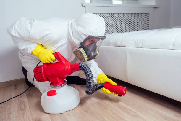 Best Pest Control Treatment  in Paradise, NV