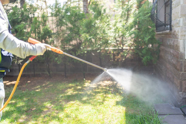 Reliable Paradise, NV Pest Control Solutions