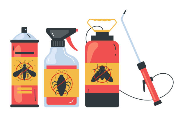 Best Local Pest Control Services  in Paradise, NV