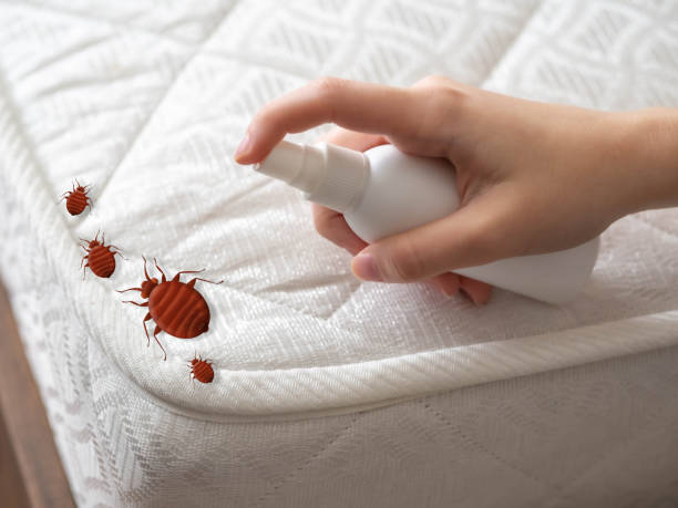 Best Pest Prevention Services  in Paradise, NV